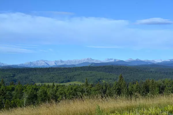 Lot 13 Whiskey Springs HL West, Rural Foothills County, AB T0L 1W4