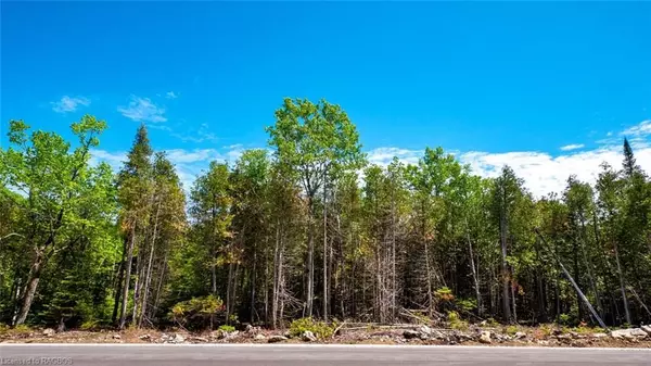 Northern Bruce Peninsula, ON N0H 1W0,LOT 5 TRILLIUM CROSSING N/A