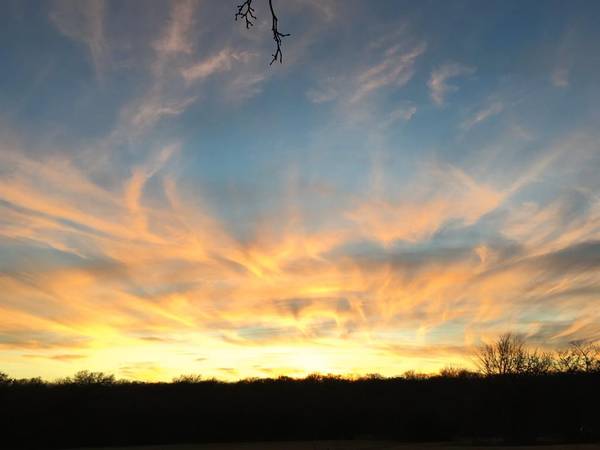 Aubrey, TX 76227,TBD Running Branch Road