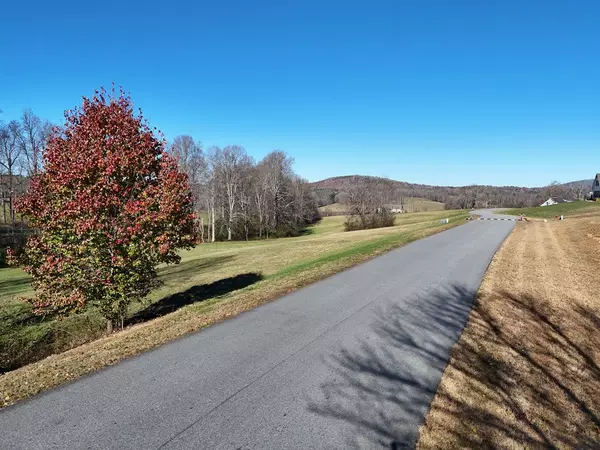 Blairsville, GA 30512,Lot 115 Owen Glen