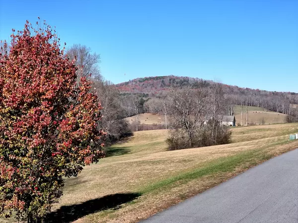 Blairsville, GA 30512,Lot 115 Owen Glen