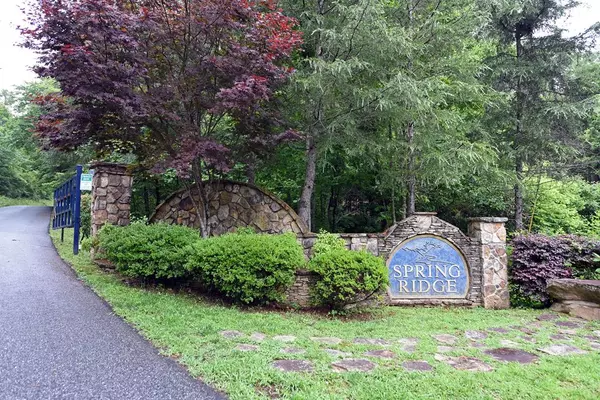 Morganton, GA 30560,LOT 1 Spring Ridge Drive