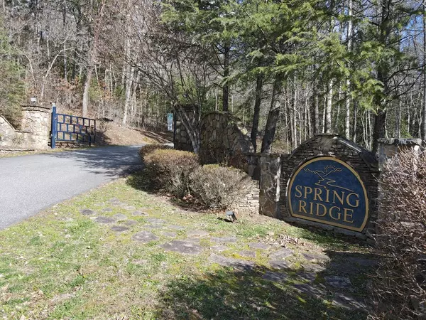 Morganton, GA 30560,LOT 1 Spring Ridge Drive