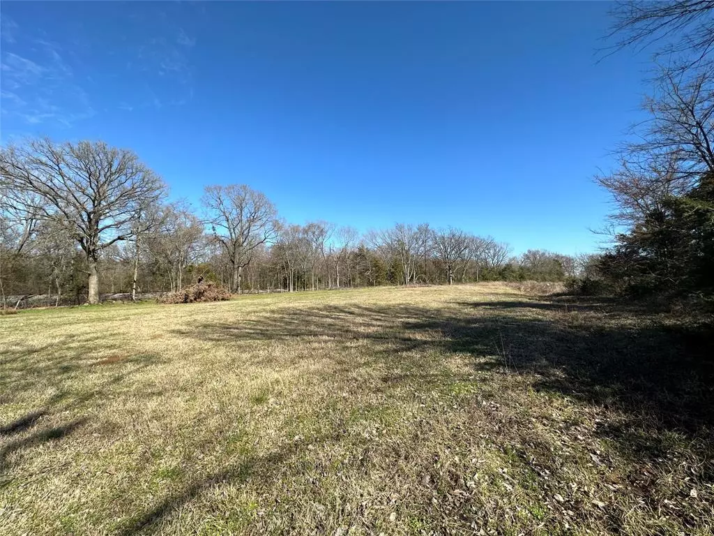 Winnsboro, TX 75494,4 Plus Acres County Road 2402