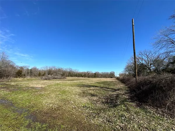 Winnsboro, TX 75494,4 Plus Acres County Road 2402