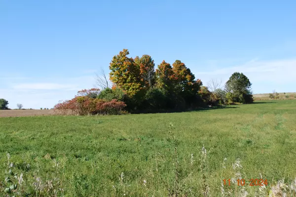 Clarington, ON L0B 1M0,3548 Concession Road 7 RD