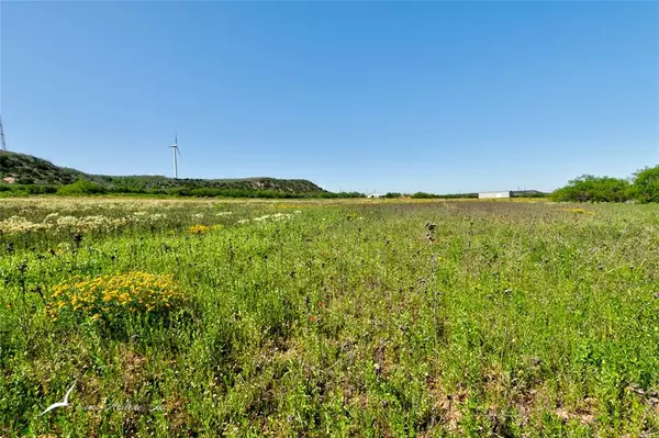 Sweetwater, TX 79556,TBD (Tract 4) CR 214