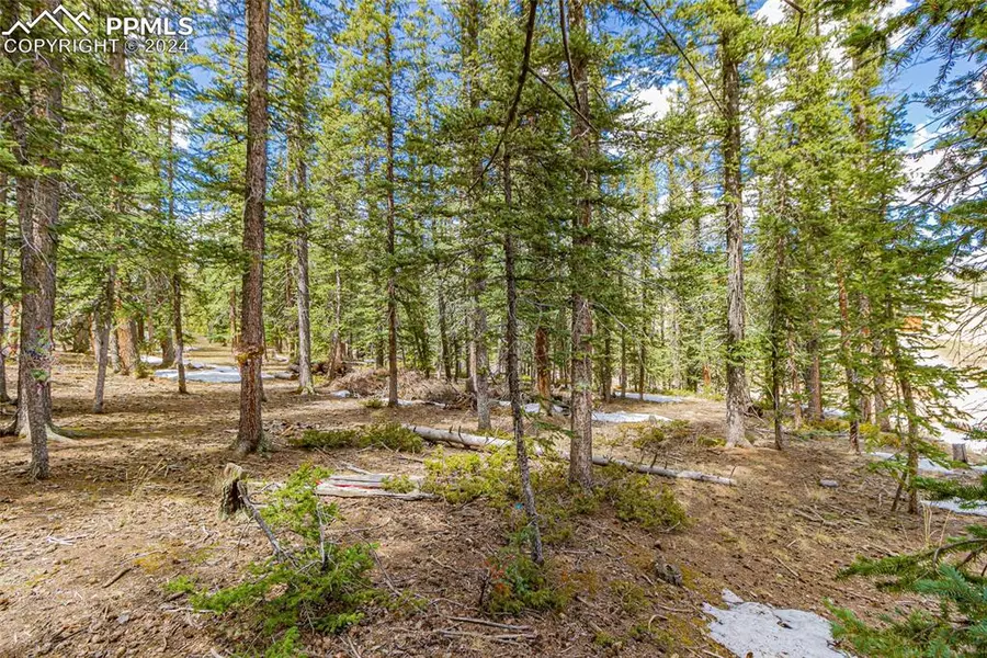 402 Silvermoon HTS, Divide, CO 80814