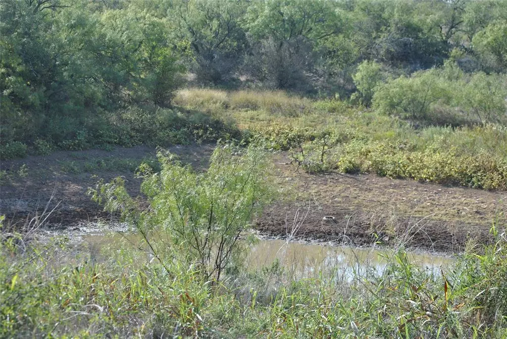 Coleman, TX 76834,TBD CR 126 or FM 568