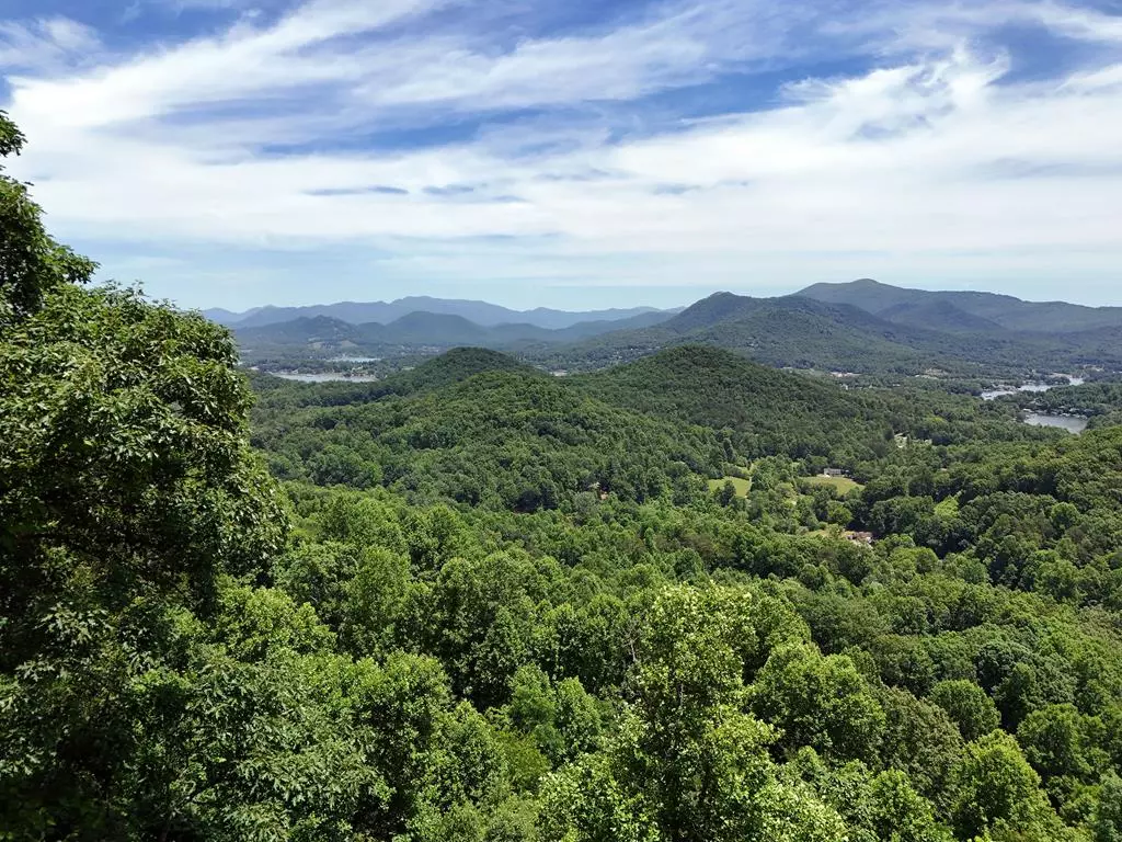 Hiawassee, GA 30546,Lot 29 Hidden Summit Road