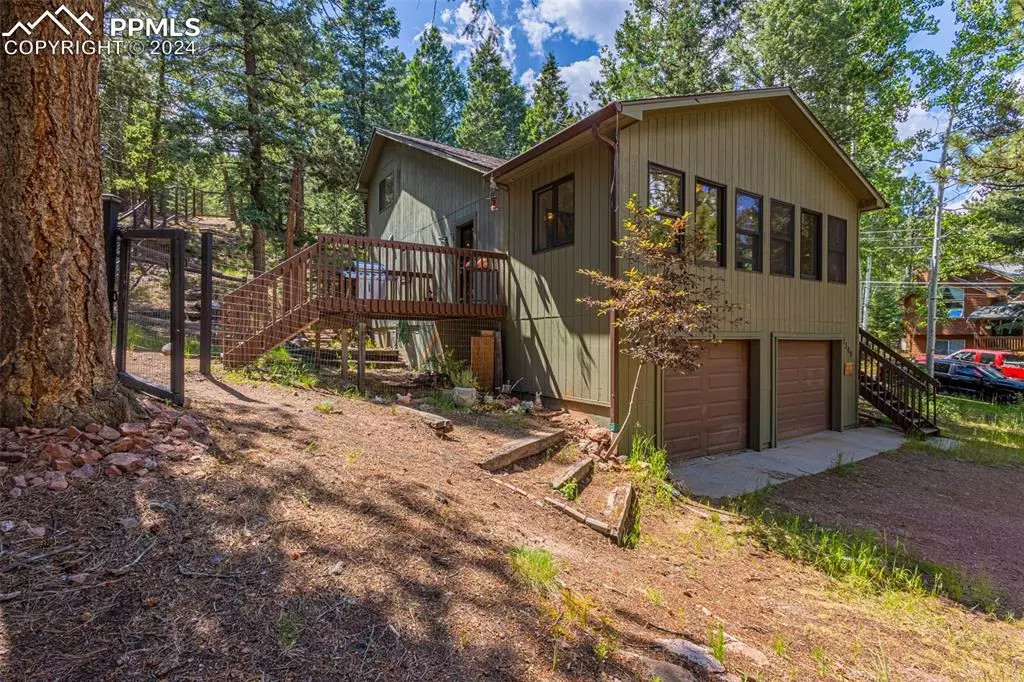 Woodland Park, CO 80863,1309 W Browning AVE