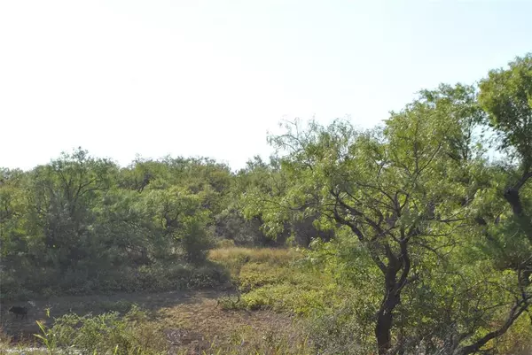 Coleman, TX 76834,TBD CR 126 or FM 568