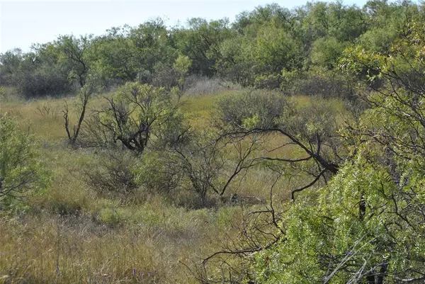 Coleman, TX 76834,TBD CR 126 or FM 568