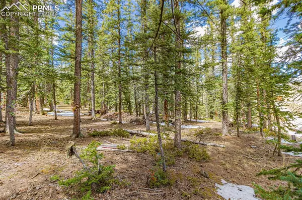 402 Silvermoon HTS,  Divide,  CO 80814