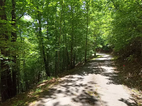 Hiawassee, GA 30546,Lot 29 Hidden Summit Road