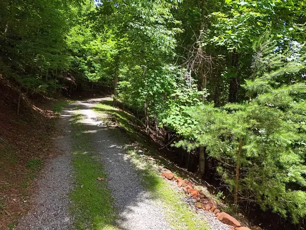 Hiawassee, GA 30546,Lot 29 Hidden Summit Road