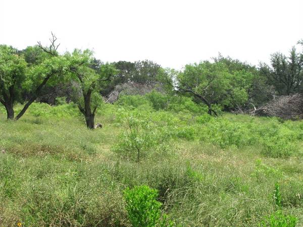 Evant, TX 76525,Lot 54 Buffalo Creek Drive