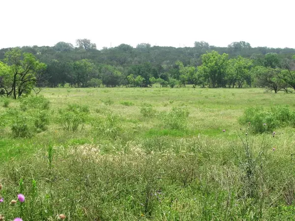 Evant, TX 76525,Lot 54 Buffalo Creek Drive