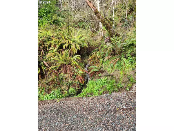 Gold Beach, OR 97444,00 Mateer RD #1300