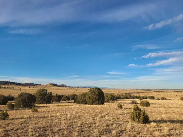 Pueblo, CO 81004,000 L. Katherine Lane