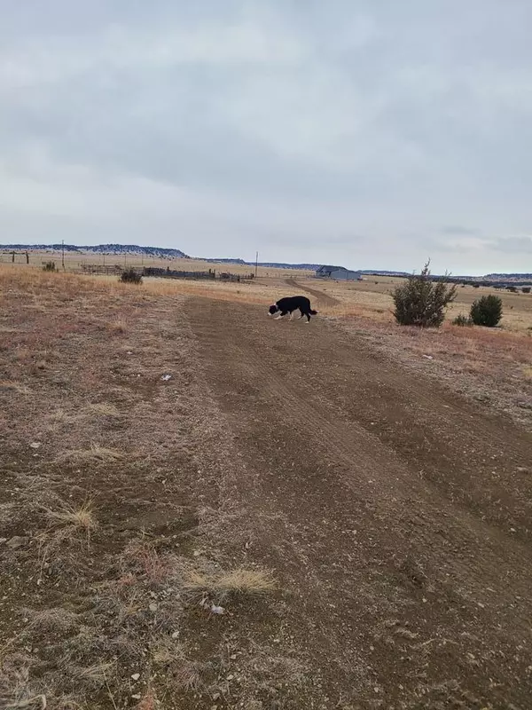 Pueblo, CO 81004,000 L. Katherine Lane