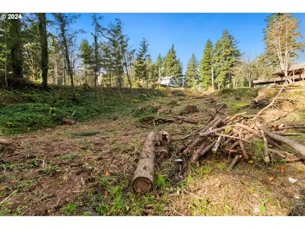 Stevenson, WA 98648,000 NW School (Lot 2, Land) RD #2