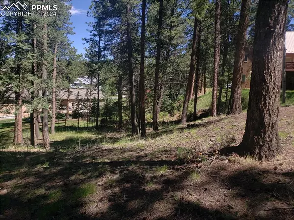 Woodland Park, CO 80863,401 Falcons Rest PL