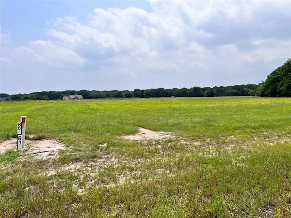 Corsicana, TX 75109,Lot 80 Clubhouse Drive