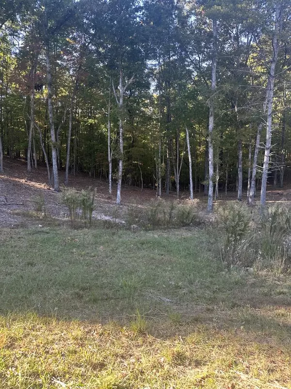 Lot 42 Ridge Dr, Morganton, GA 30560