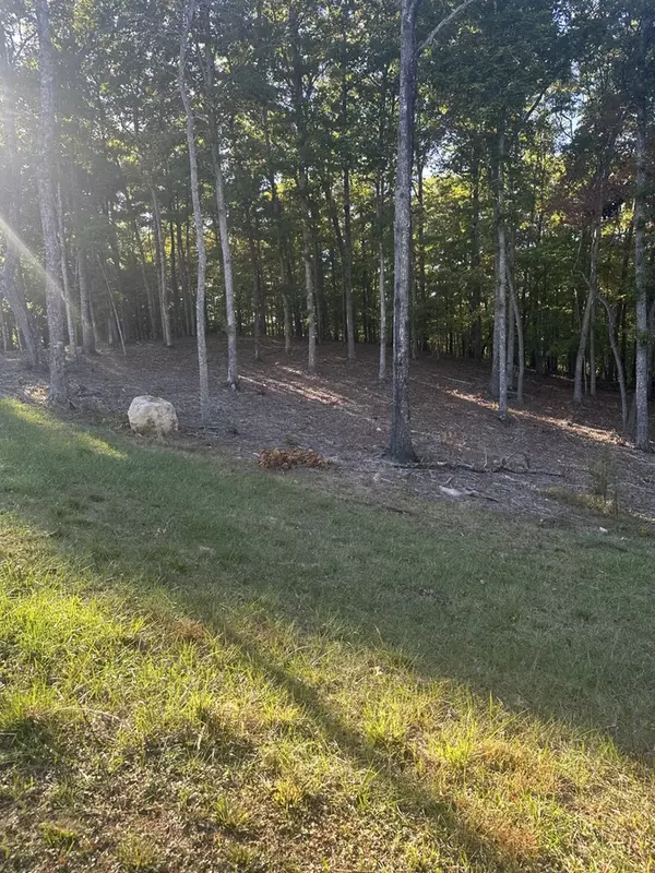 Morganton, GA 30560,Lot 42 Ridge Dr