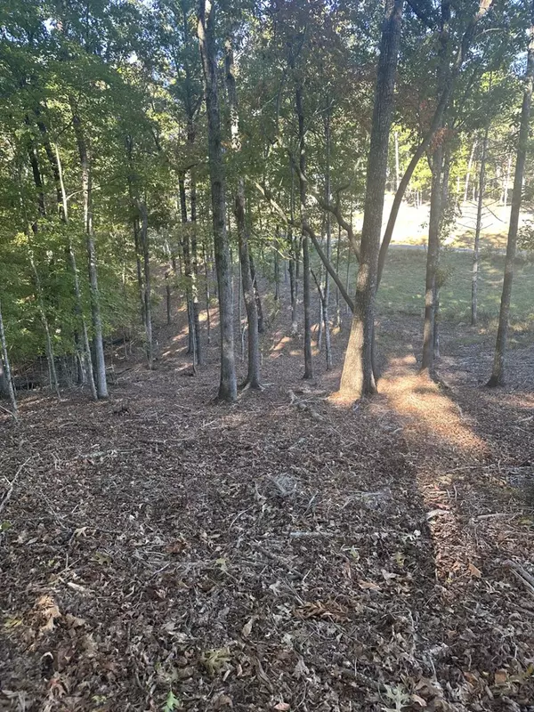 Morganton, GA 30560,Lot 42 Ridge Dr