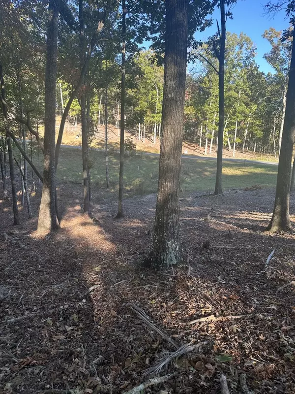 Morganton, GA 30560,Lot 42 Ridge Dr