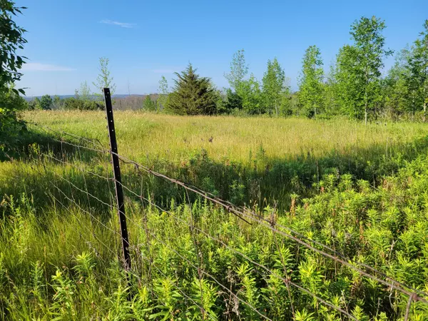 Alnwick/haldimand, ON K0K 2X0,0 Curtis Point RD