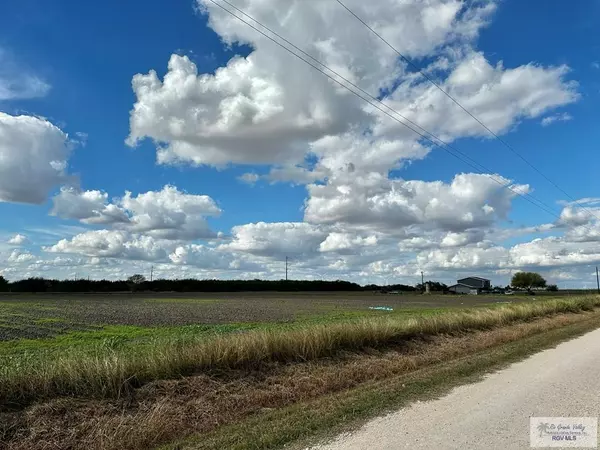 Santa Rosa, TX 78593,21.49 AC N SAN FELIPPO RD