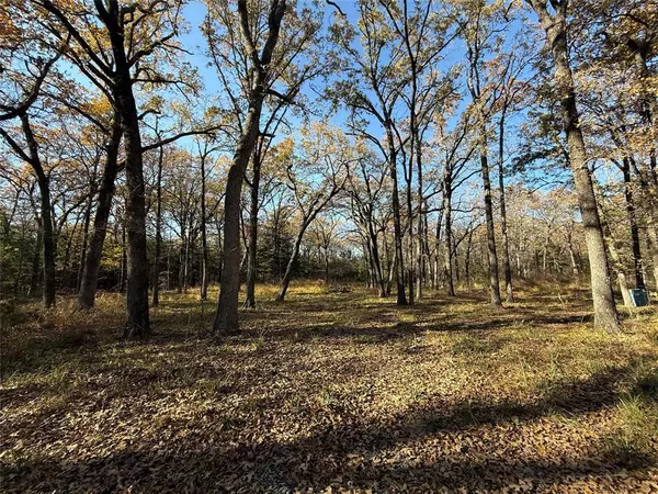 Honey Grove, TX 75446,0000 County Road 2418