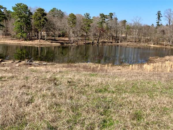 Big Sandy, TX 75755,Lot 64 White Oak Creek