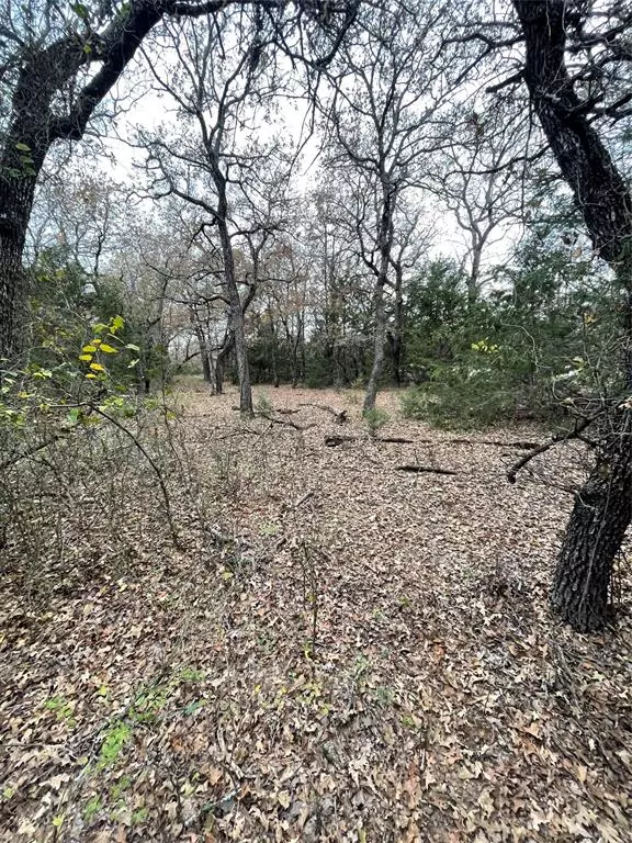 Alvord, TX 76225,TBD of 233 School Oaks Road