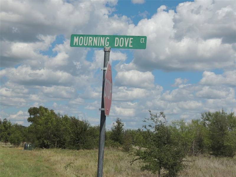 LOT 50 Mourning Dove Court, Graford, TX 76449