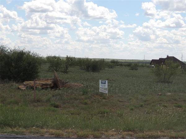 Graford, TX 76449,LOT 50 Mourning Dove Court