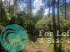 228 Clairdale Ct,  Other City - In The State Of Florida,  FL 33852