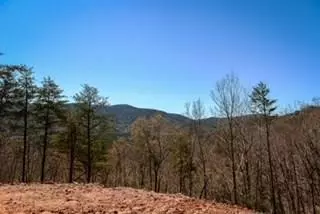 Blue Ridge, GA 30513,0 Clearview Mountain