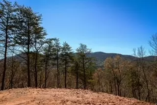 Blue Ridge, GA 30513,0 Clearview Mountain