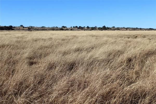 Blanket, TX 76432,0000 County Road 207