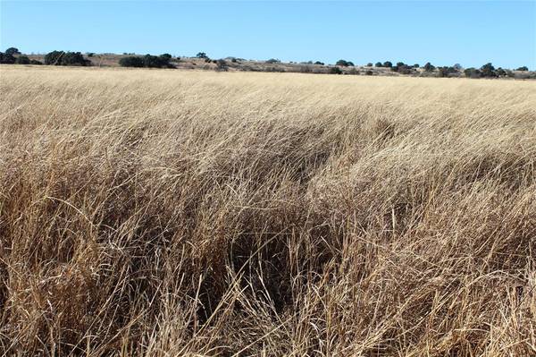 Blanket, TX 76432,0000 County Road 207