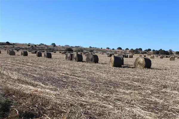 Blanket, TX 76432,0000 County Road 207