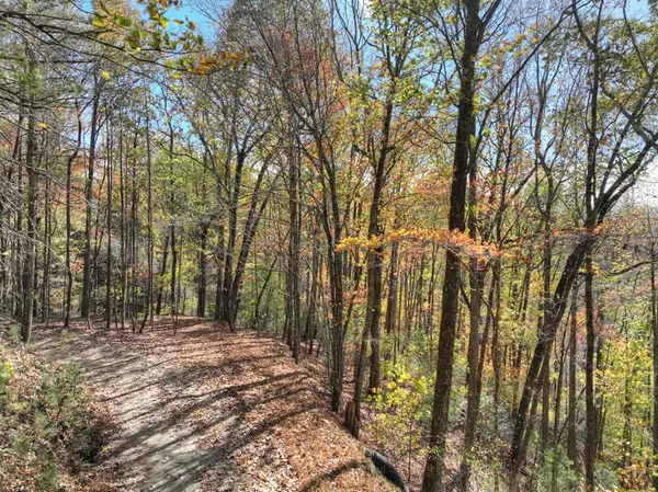 Blue Ridge, GA 30513,Lot 4 Laurel Creek Road