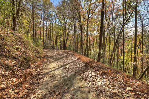 Blue Ridge, GA 30513,Lot 4 Laurel Creek Road