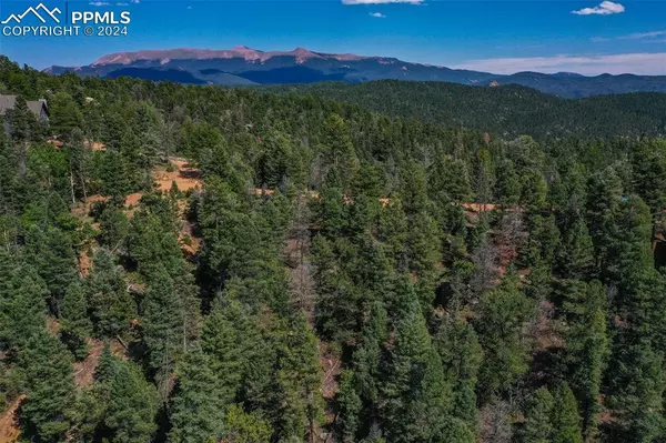 Florissant, CO 80814,3546 N Mountain Estates RD