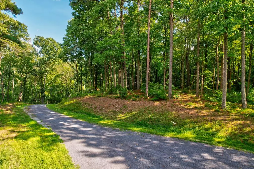 Ellijay, GA 30540,Lot 37R Hilton Drive