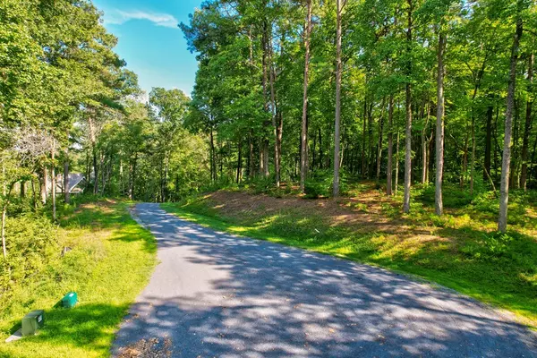 Ellijay, GA 30540,Lot 37R Hilton Drive